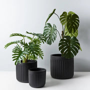Pot Pleat Round Black SML 23cmh x 25cmd – thumbnail