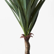 Yucca Stem Green 43cml