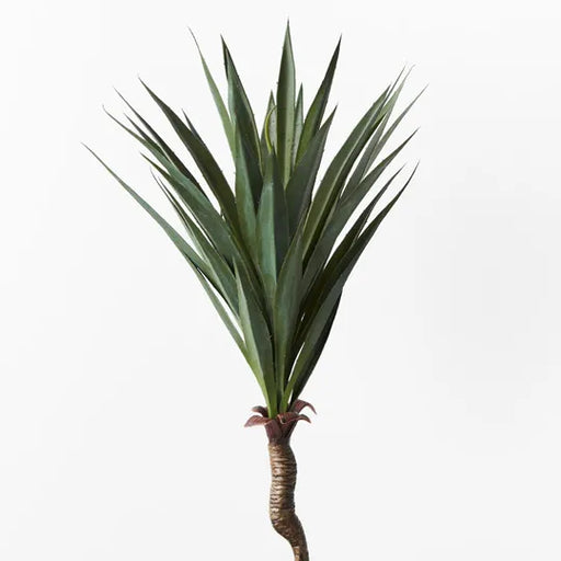 Yucca Stem Green 43cml