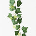 Ivy English Garland Green 180cml