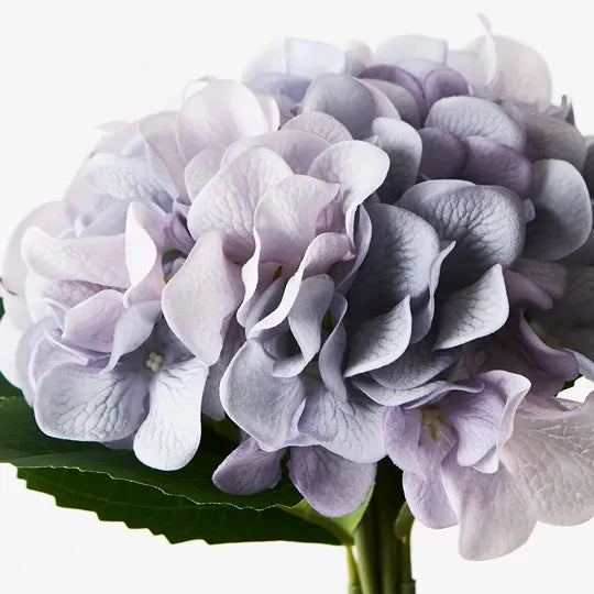 Hydrangea Bouquet Blue 25cml