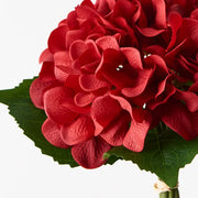 Hydrangea Bouquet Red 25cml