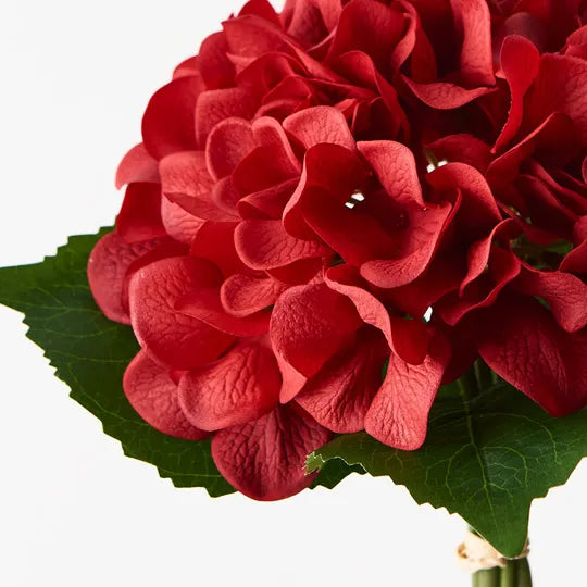 Hydrangea Bouquet Red 25cml