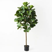 Lux Bamboo Tree 100x100x210cm Green – thumbnail