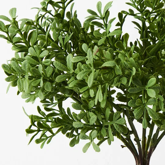 Tea Leaf Bush Green Grey 25cml