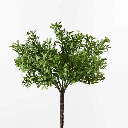 Tea Leaf Bush Green Grey 25cml