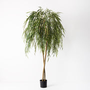 Willow Weeping Tree Green 180cmh – thumbnail