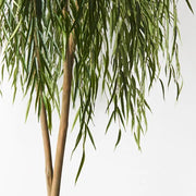Willow Weeping Tree Green 180cmh – thumbnail