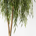 Willow Weeping Tree Green 180cmh