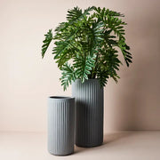 Philodendron Selloum Plant Green 120cmh – thumbnail