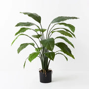 Spathiphyllum Leaf Plant Green 100cmh – thumbnail