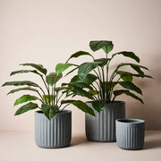 Spathiphyllum Leaf Plant Green 100cmh – thumbnail