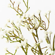 Babys Breath Spray Cream 66cml – thumbnail