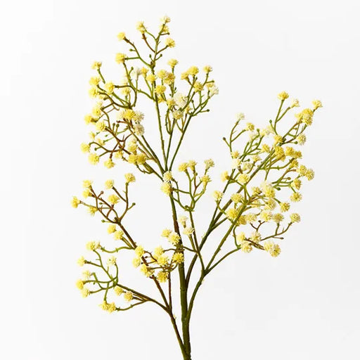 Babys Breath Spray Yellow 66cml