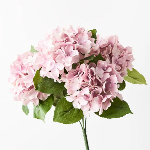 Hydrangea Bush Dusty Pink 46cml