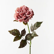 Peony Dusty Pink 61cml – thumbnail