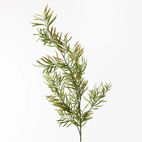 Grevillea Leaf Spray Green 81cml