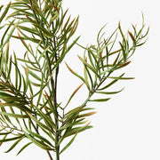 Grevillea Leaf Spray Green 81cml