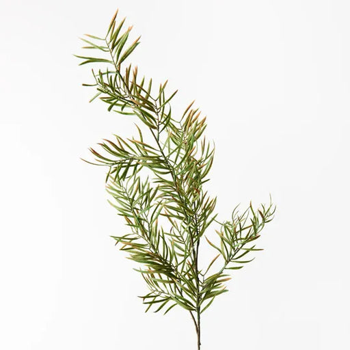 Grevillea Leaf Spray Green 81cml