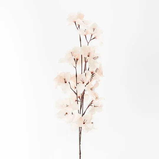 Bougainvillea Spray Cream 86cml