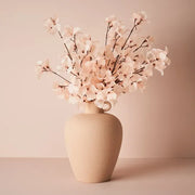 Bougainvillea Spray Cream 86cml