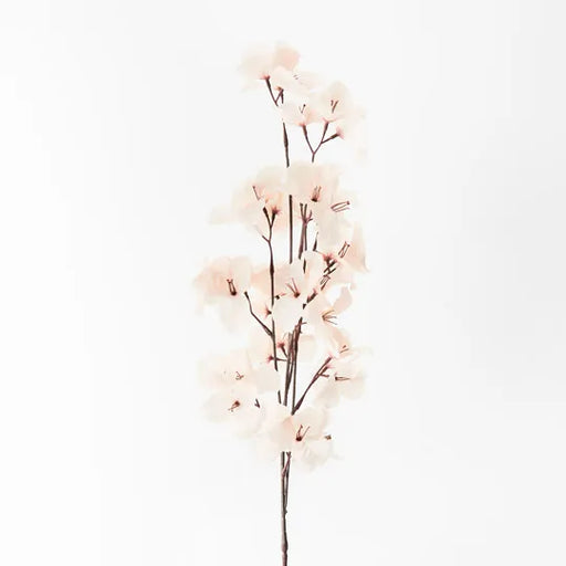 Bougainvillea Spray Cream 86cml