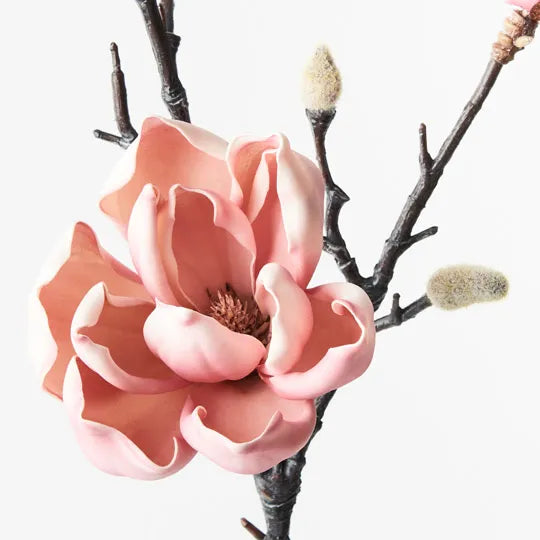 Magnolia Japanese Spray Pink 79cml