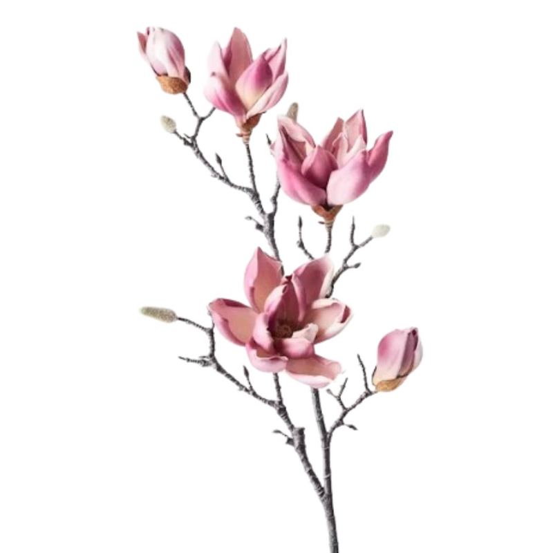 Magnolia Japanese Spray Plum 100cml