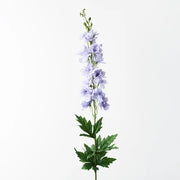 Delphinium Lavender 90cml