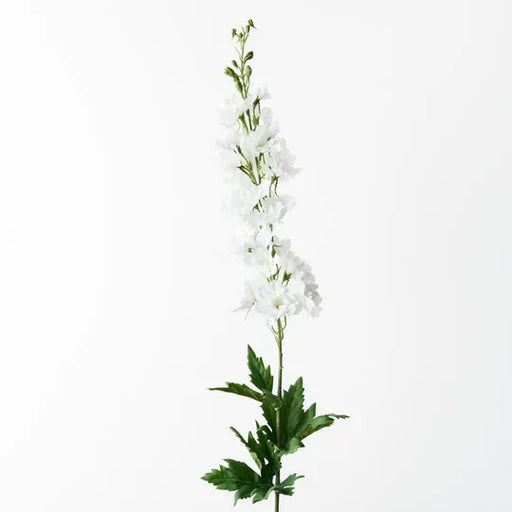 Delphinium Winter White 90cml