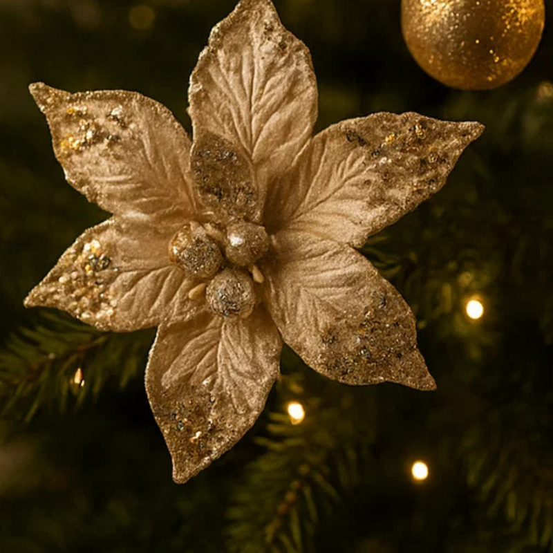 Christmas Flower Champagne Poinsettia Clip On 20cm