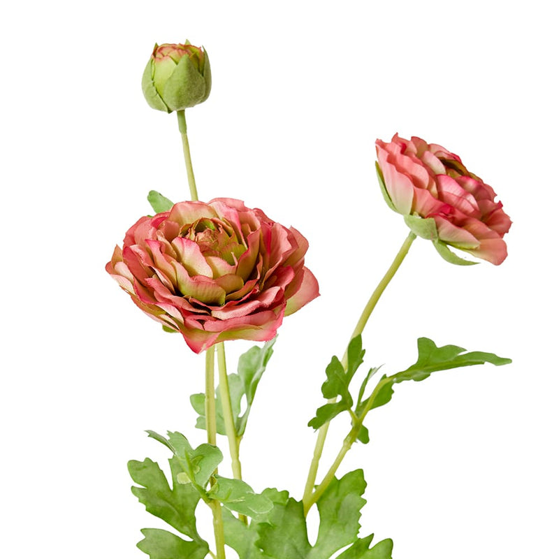 Ranunculus Flower Spray Dark Pink 20x18x64cm