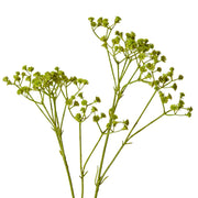 Gypsophila Spray Green 28x16x74cm – thumbnail