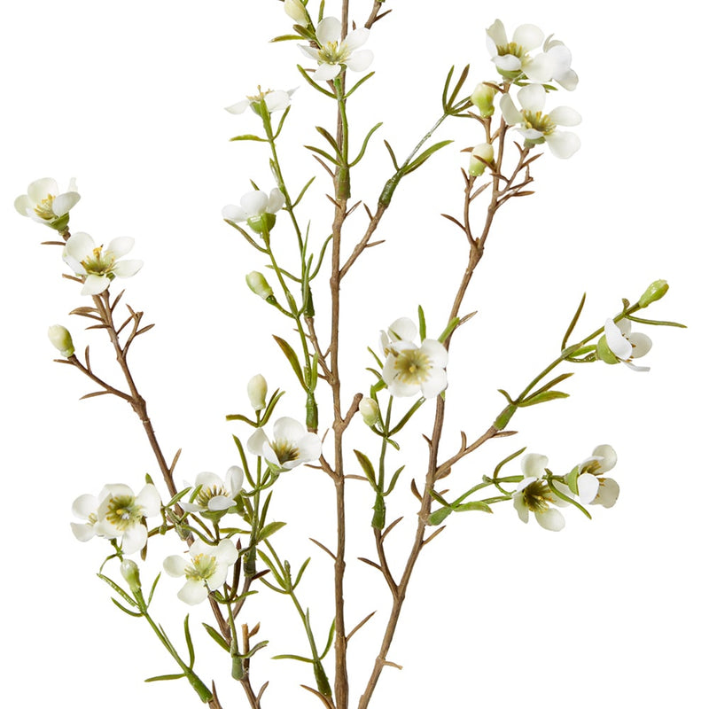 Wax Flower Spray White 20x5x79cm
