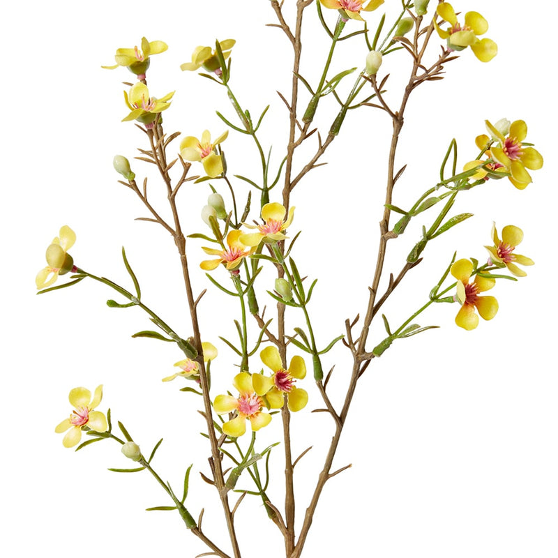 Wax Flower Spray Yellow 20x5x79cm