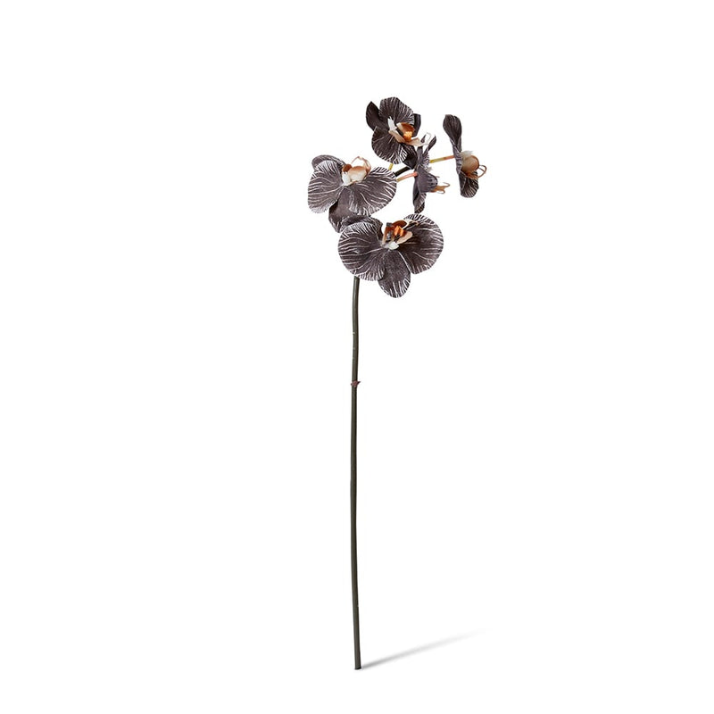 Artificial black mini phalaenopsis orchid stem 51cm