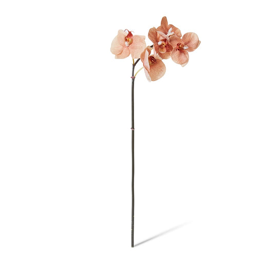 Artificial brown mini phalaenopsis orchid stem 51cm