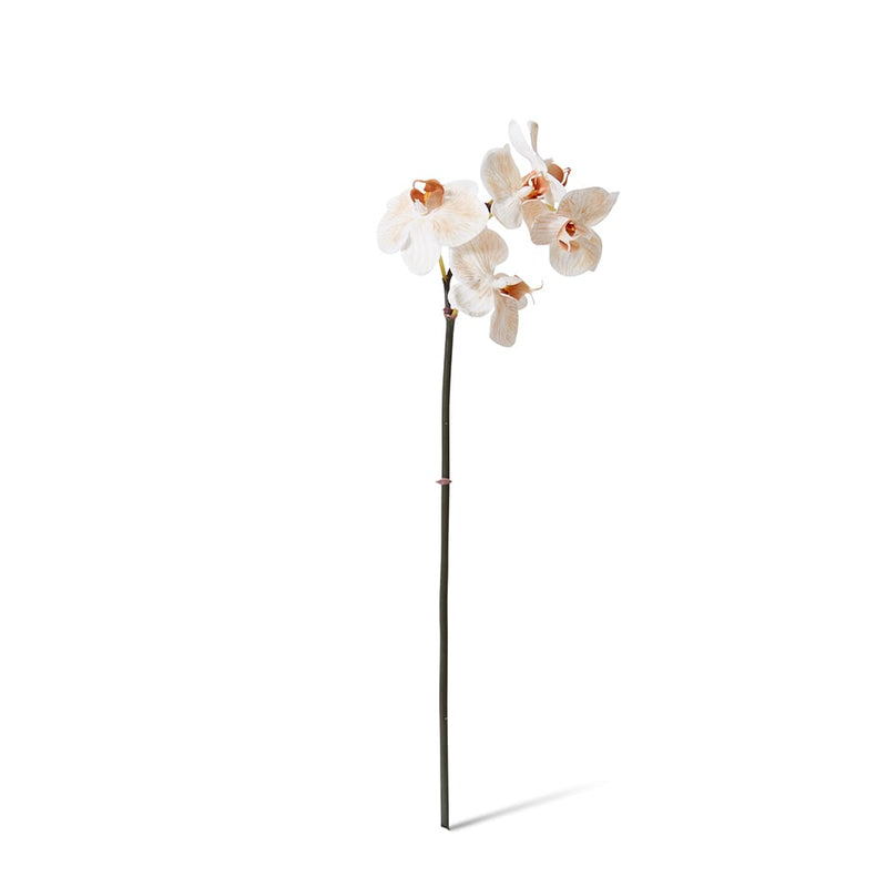 Artificial light brown mini phalaenopsis orchid stem 51cm