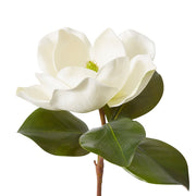 Magnolia Grand Stem White 22x28x71cm – thumbnail