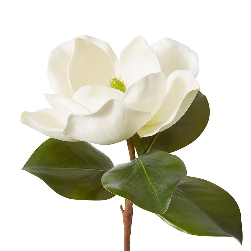 Magnolia Grand Stem White 22x28x71cm
