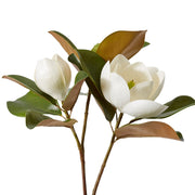 Magnolia Classic Flower & Bud White 33x39x74cm – thumbnail
