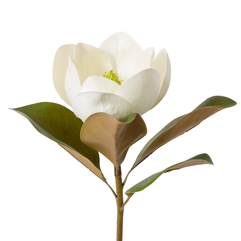 Magnolia Flower Classic Stem White 19x26x60cm