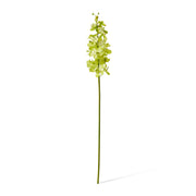 Artificial green vanda orchid stem 69cm – thumbnail