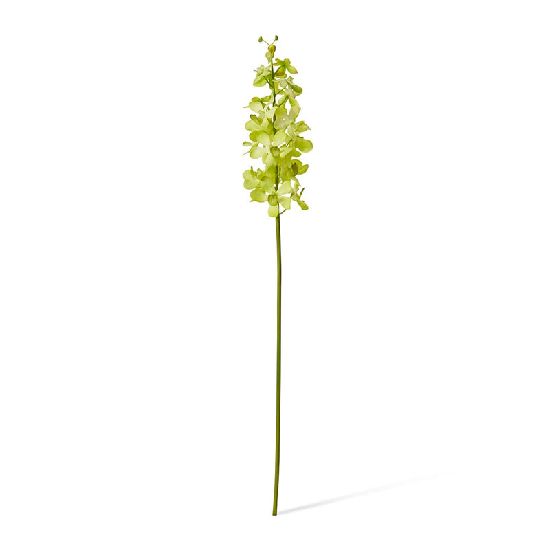 Artificial green vanda orchid stem 69cm
