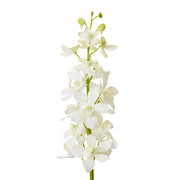 Orchid Vanda Stem White 9x10x69cm – thumbnail