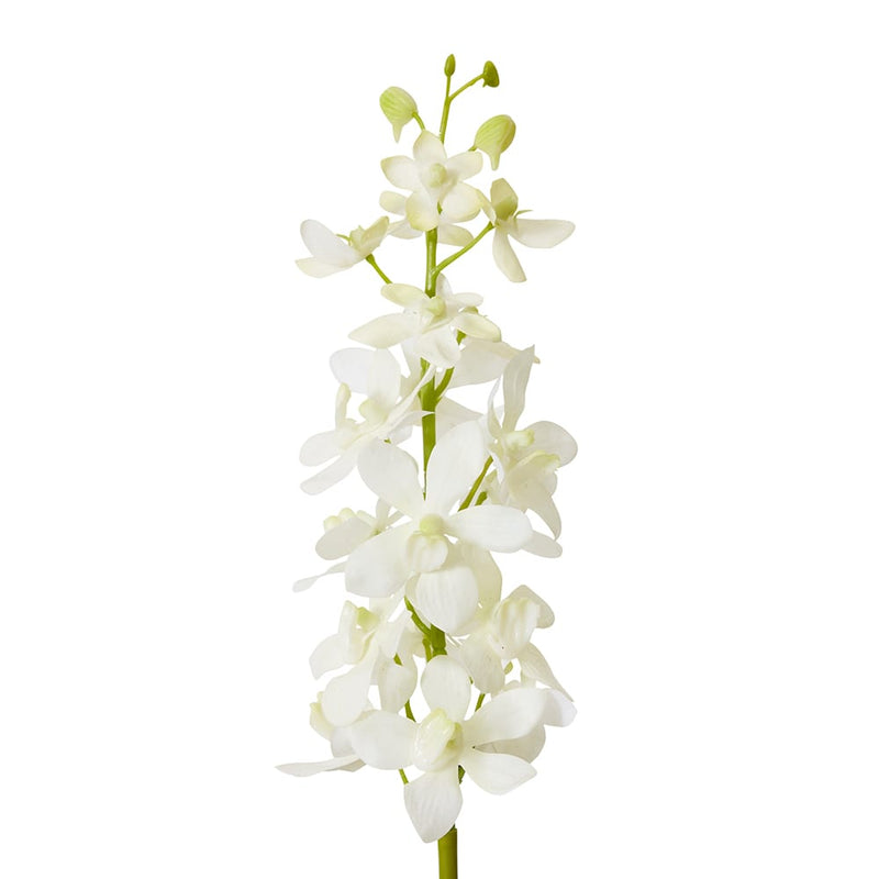 Orchid Vanda Stem White 9x10x69cm