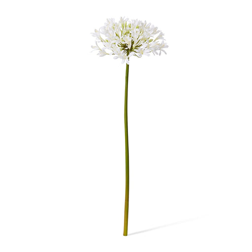Artificial white agapanthus flower stem 76cm