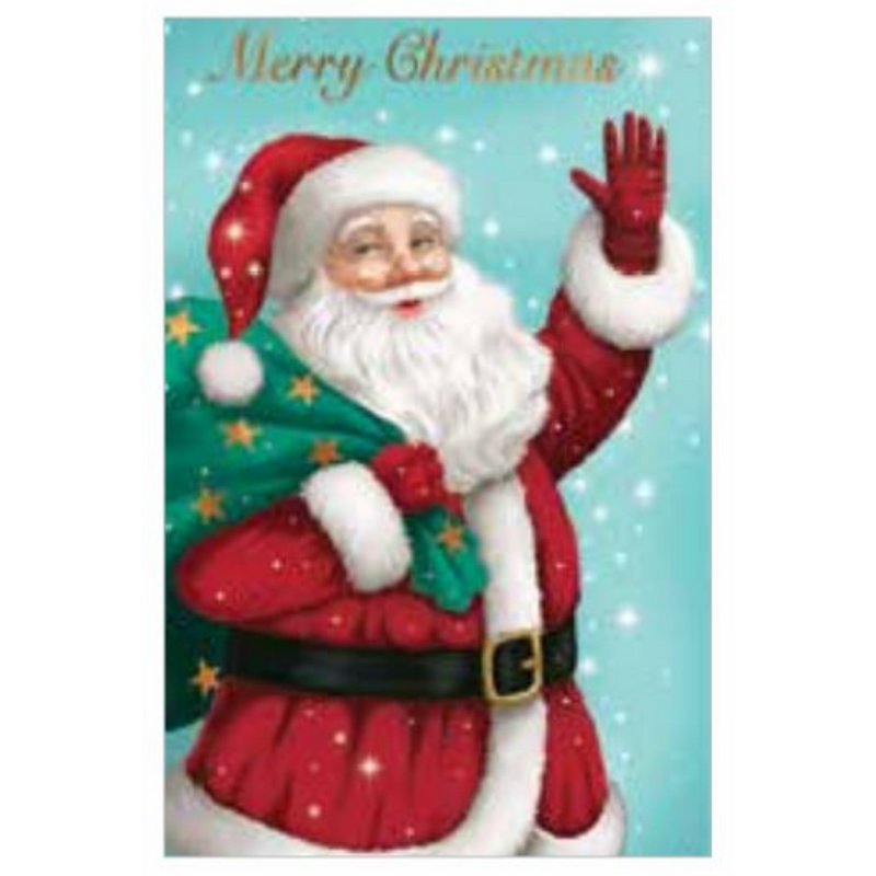 Ronis FSC Mix Boxed Card Salvo Santa 10pk