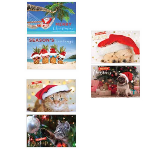 Ronis FSC Mix Card BXD Christmas Deluxe Photographic 10pk Assorted