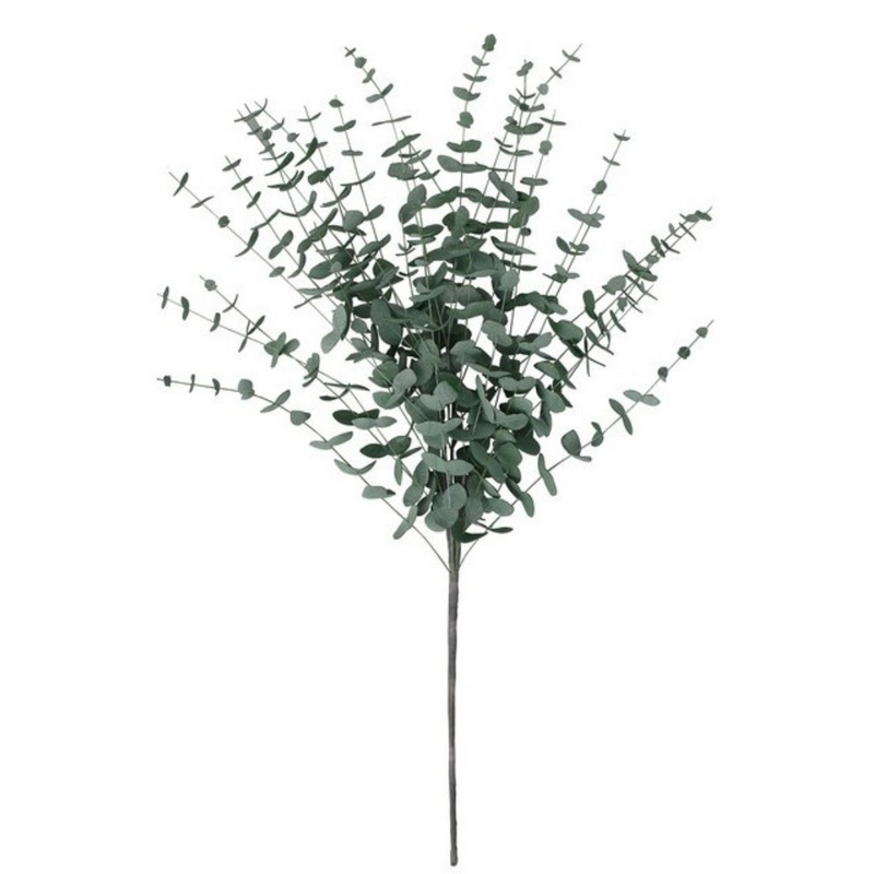 Eucalyptus Branch Green 70cm